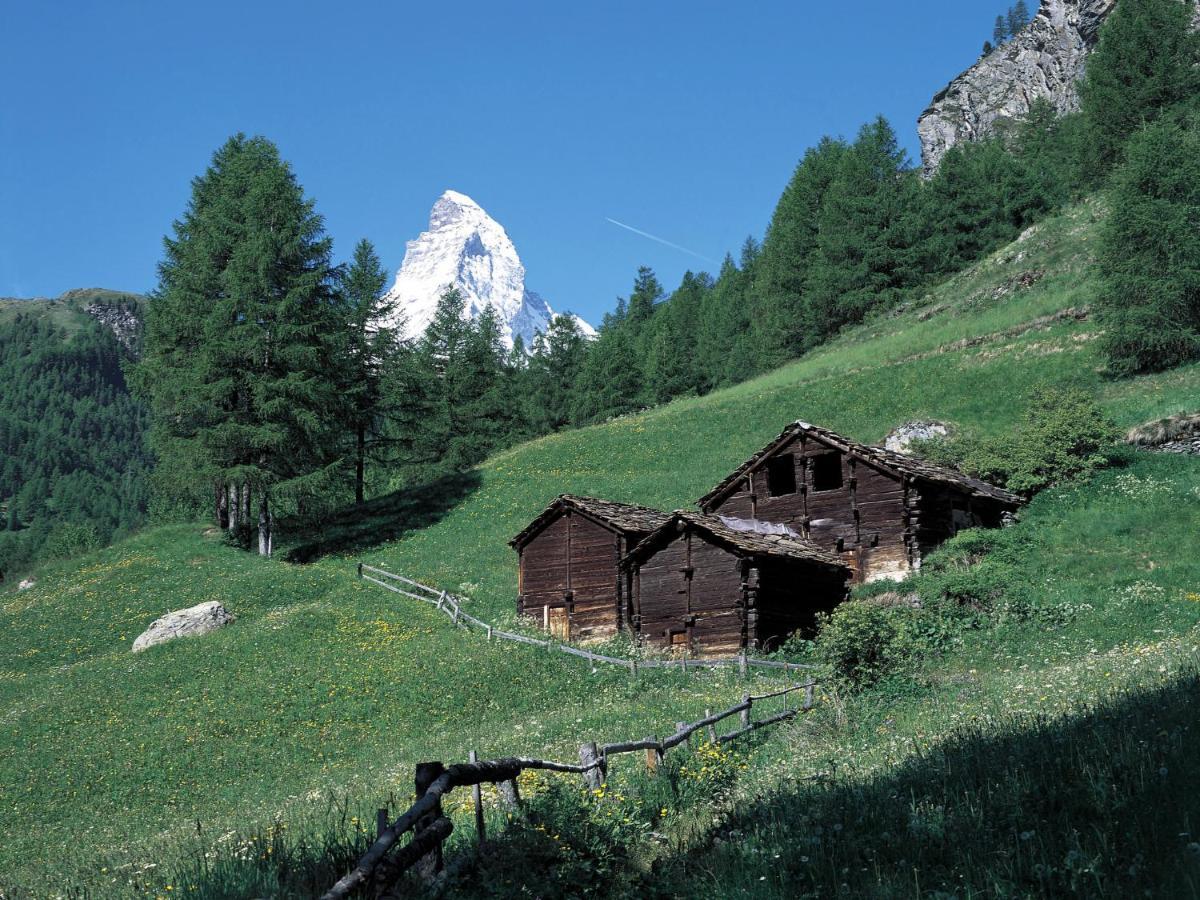 Apartment Zen Stecken A By Interhome Zermatt Eksteriør bilde